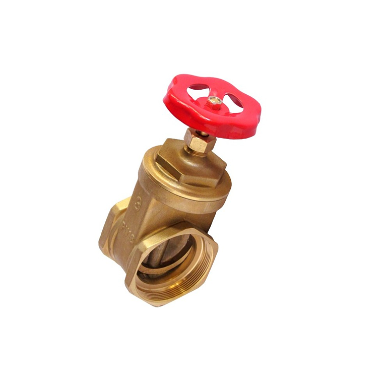 Válvula Compuerta 3