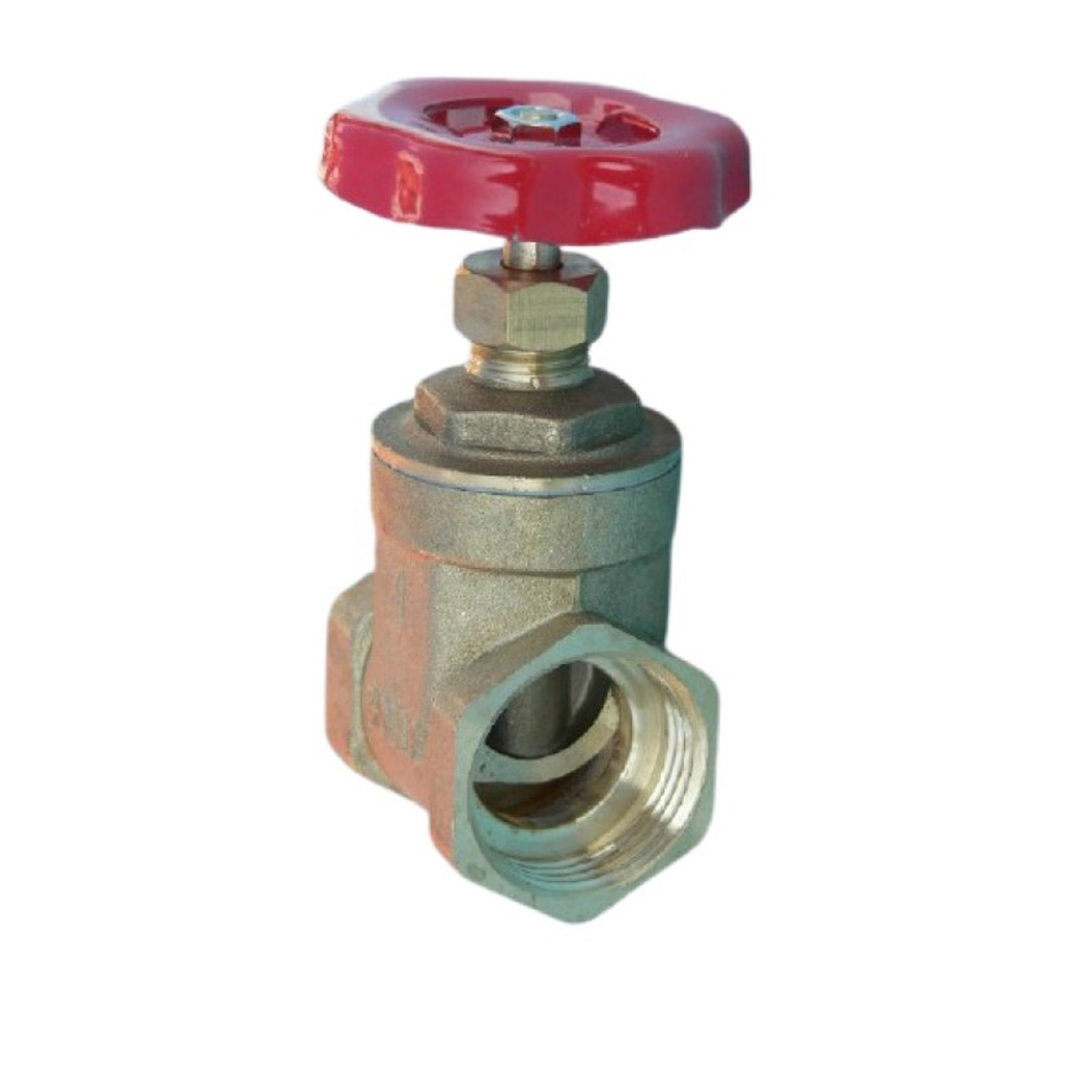 Válvula Compuerta 1