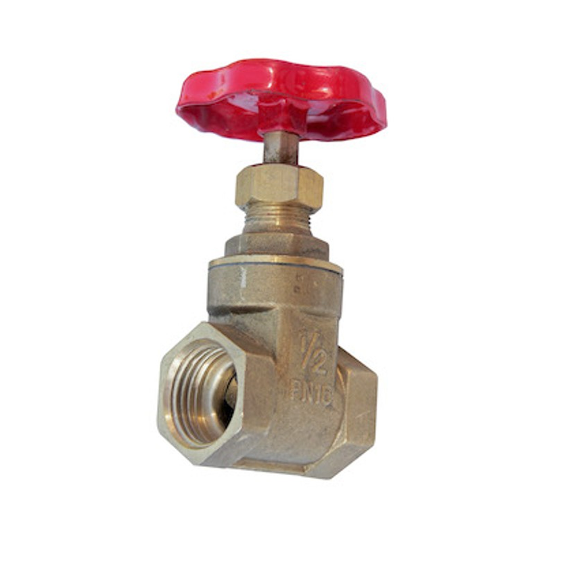 Válvula Compuerta 1/2