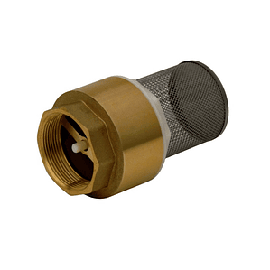 Válvula Fondo Filtro Acero Inox.2