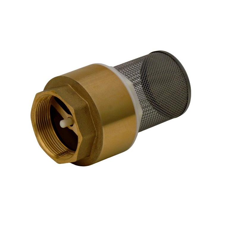 Válvula Fondo Filtro Acero Inox.2