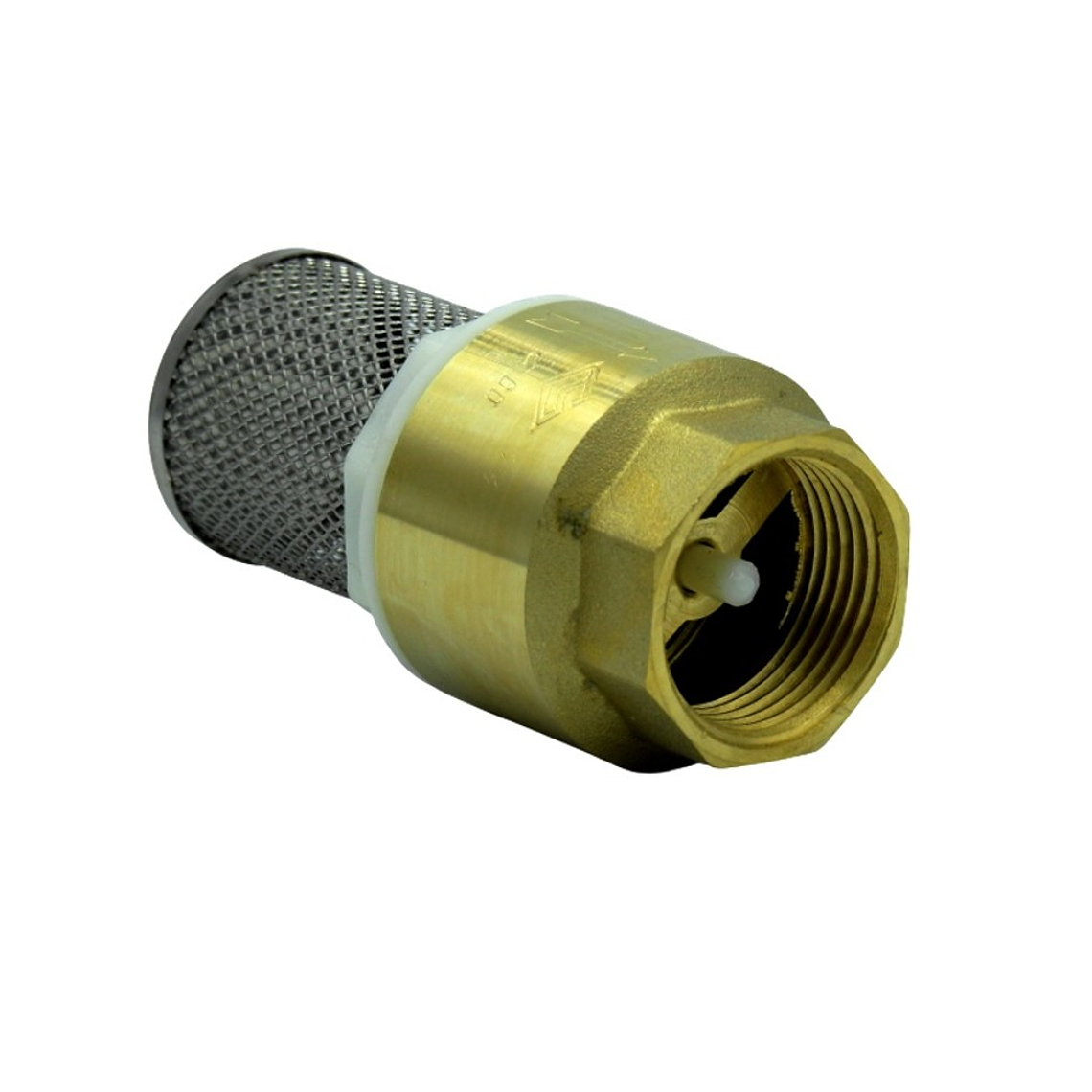 Válvula Fondo Filtro Acero Inox.1