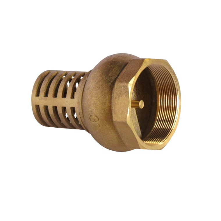 Válvula Fondo-Pie Rejilla Metálica 3