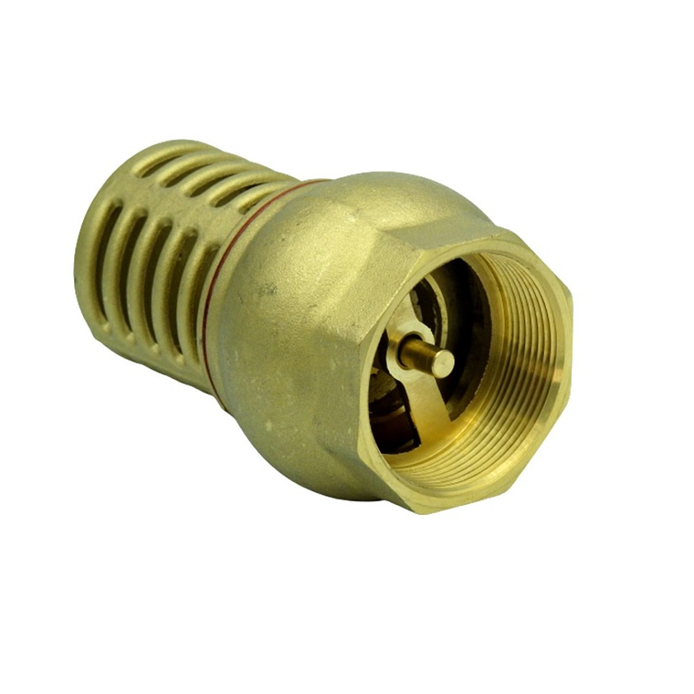 Válvula Fondo-Pie Rejilla Metálica 1