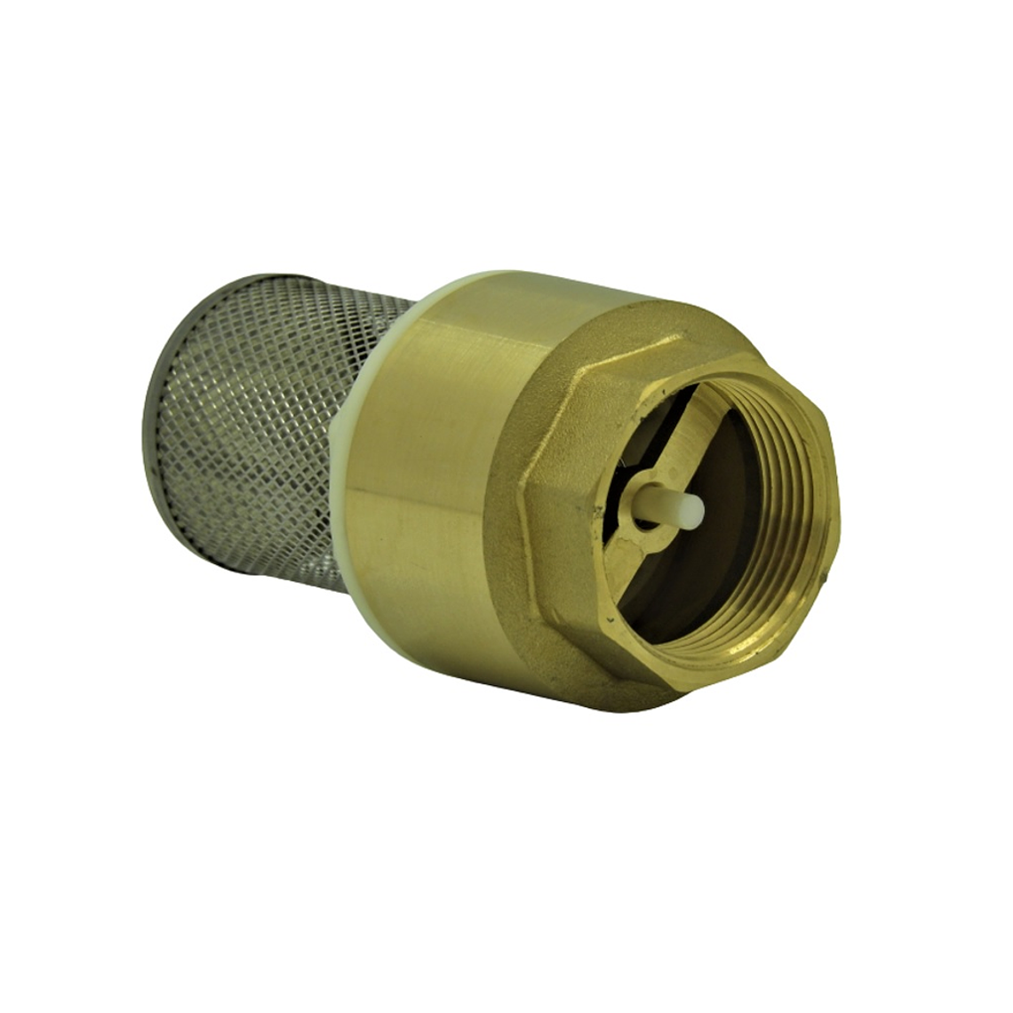 Válvula Fondo Filtro Acero Inox.1.1/4