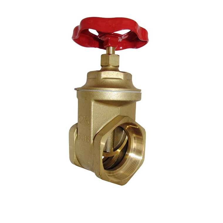 Válvula Compuerta 2.1/2