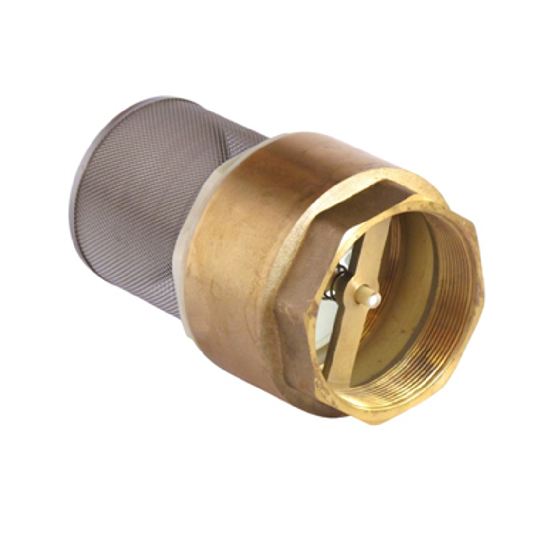 Válvula Fondo Filtro Acero Inox.3