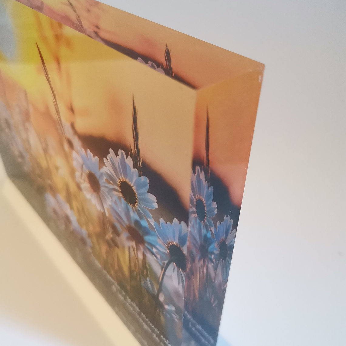 Impressão Fotografia 3D 7