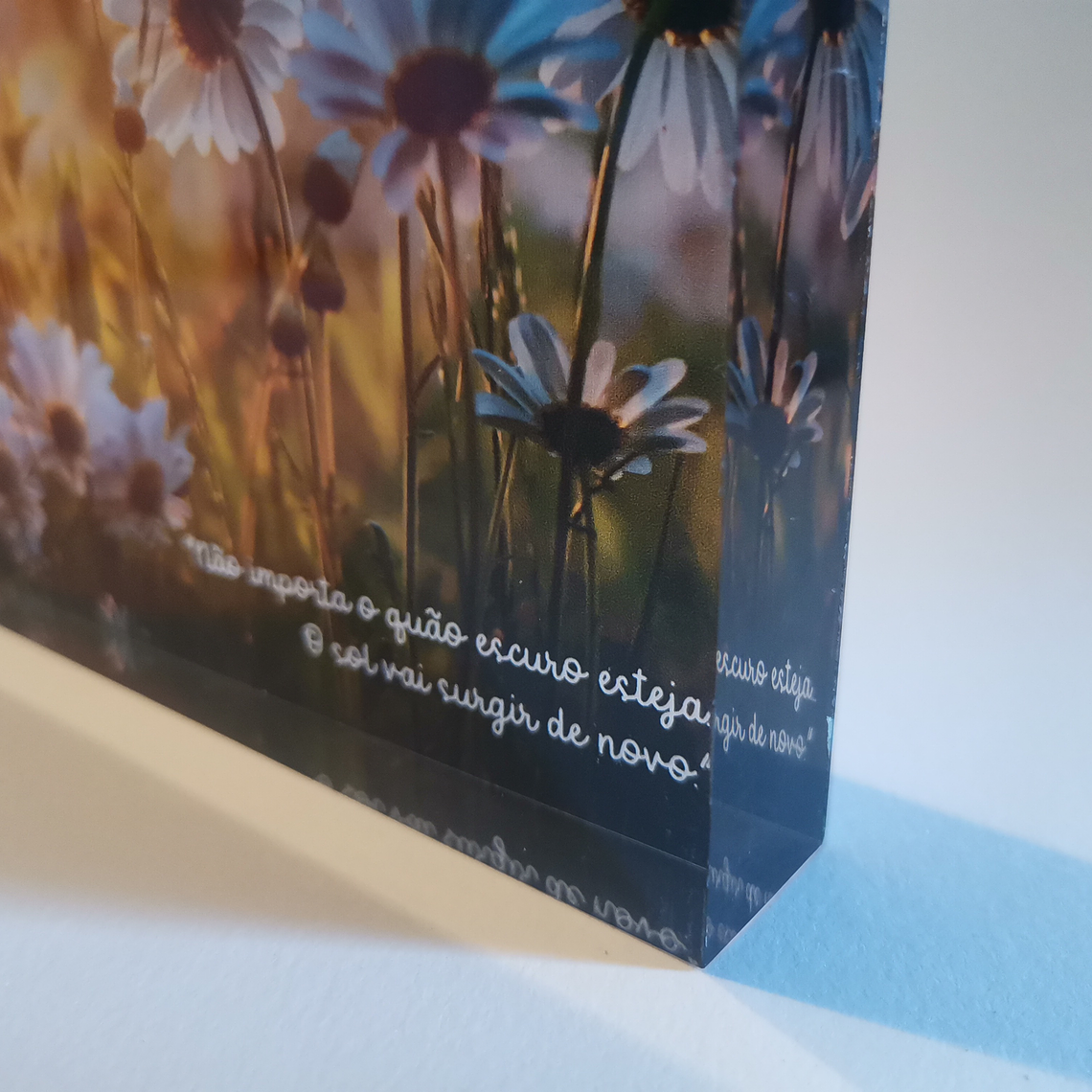 Impressão Fotografia 3D 8