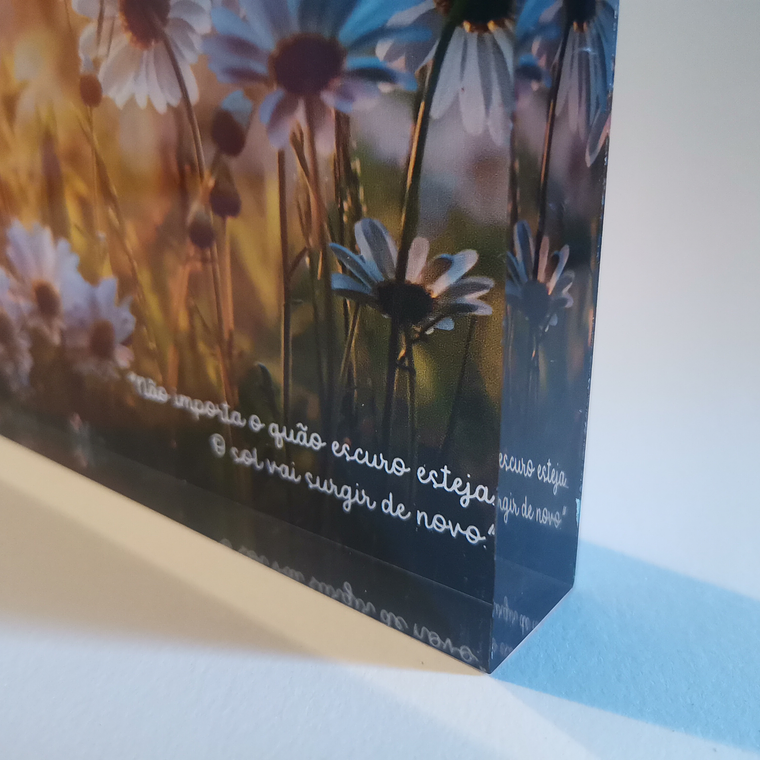 Impressão Fotografia 3D 8