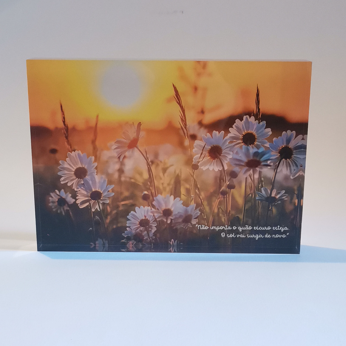 Impressão Fotografia 3D 9