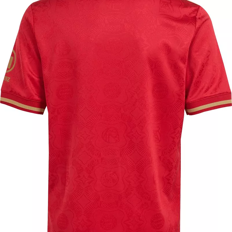 Camisola Bayern Munich Aniversario 125th 25/26 2