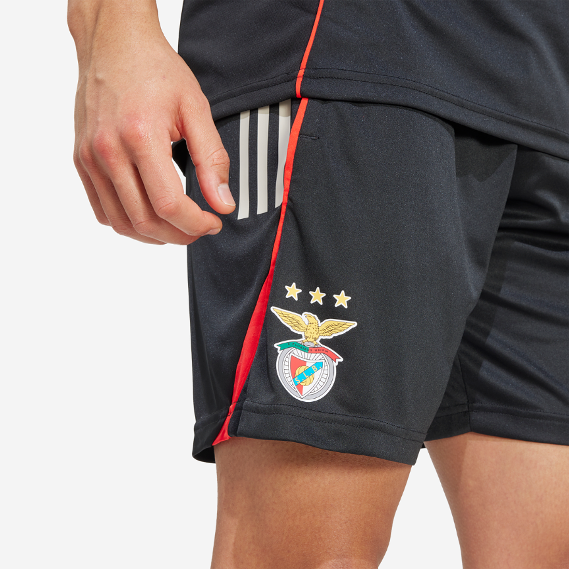 Calções Treino SL Benfica 25/26 2