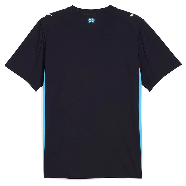 Camisola Marseille Alternativo Equipamento 25/26 2