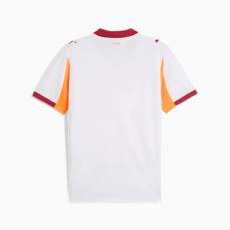 Camisola Galatasaray Alternativa 25/26 2