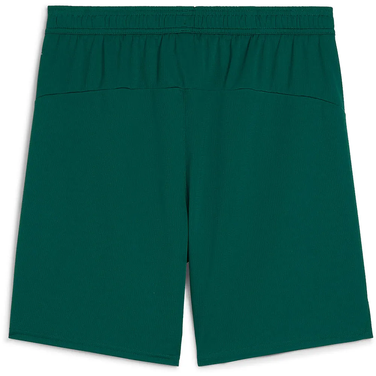 Calções Verdes Portugal PUMA 2025/26 2