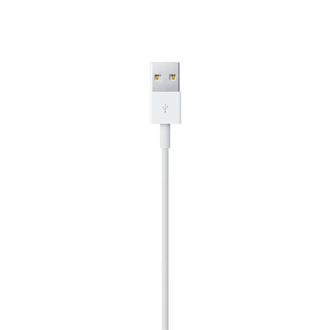 Cable Apple Lightning 1M MXLY2AM/A MUQW3AM 2