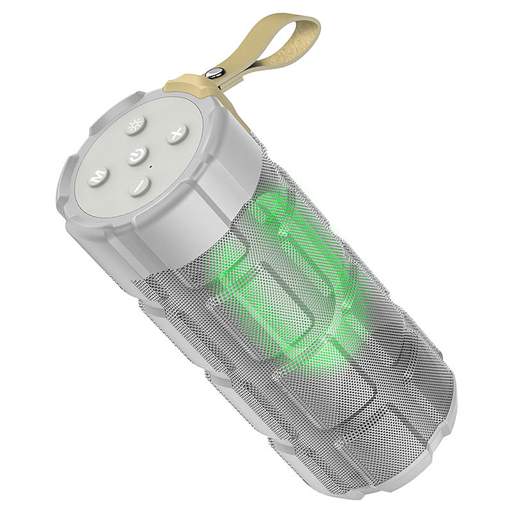 Parlante Hoco HC7 Pleasant sports Bluetooth FM TF AUX Gris 1