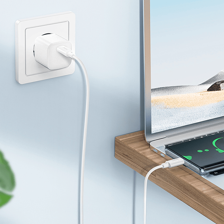 Cable Hoco X88 Gratified 60W C a C 2M Blanco 4