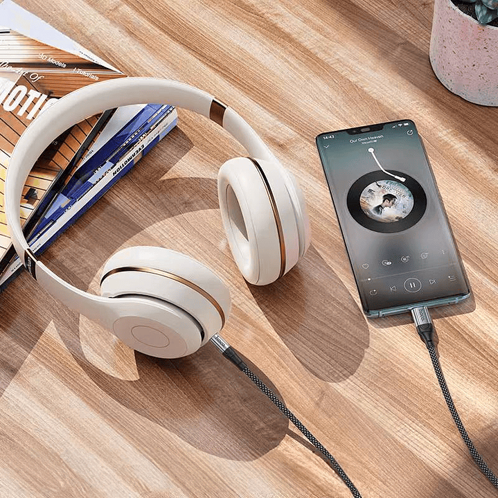 Cable Aux Hoco UPA26 Fresh Negro 5