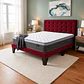 Cama Europea Super King Abotonada con Colchón Pillow Top 30cm - Miniatura 7