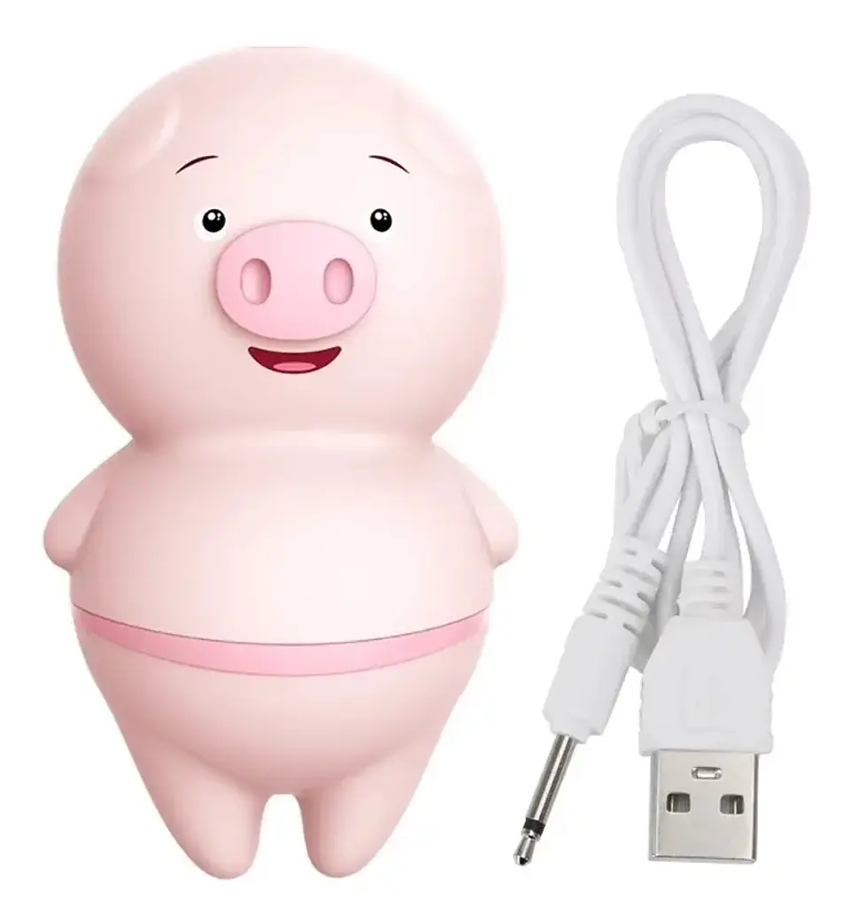 Chanchito New Gen Piggy 1