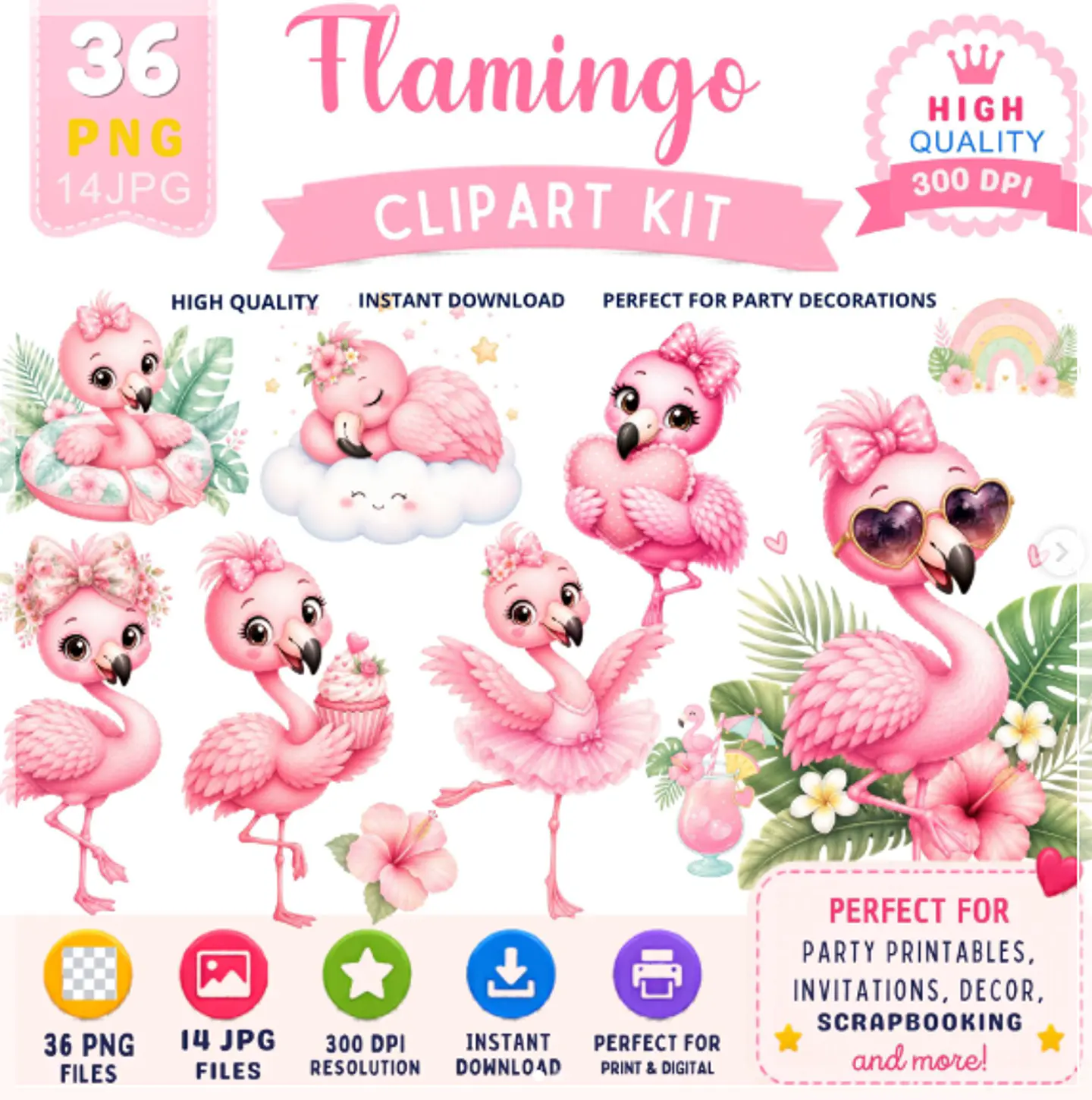 Kit Digital Flamingo 1 1
