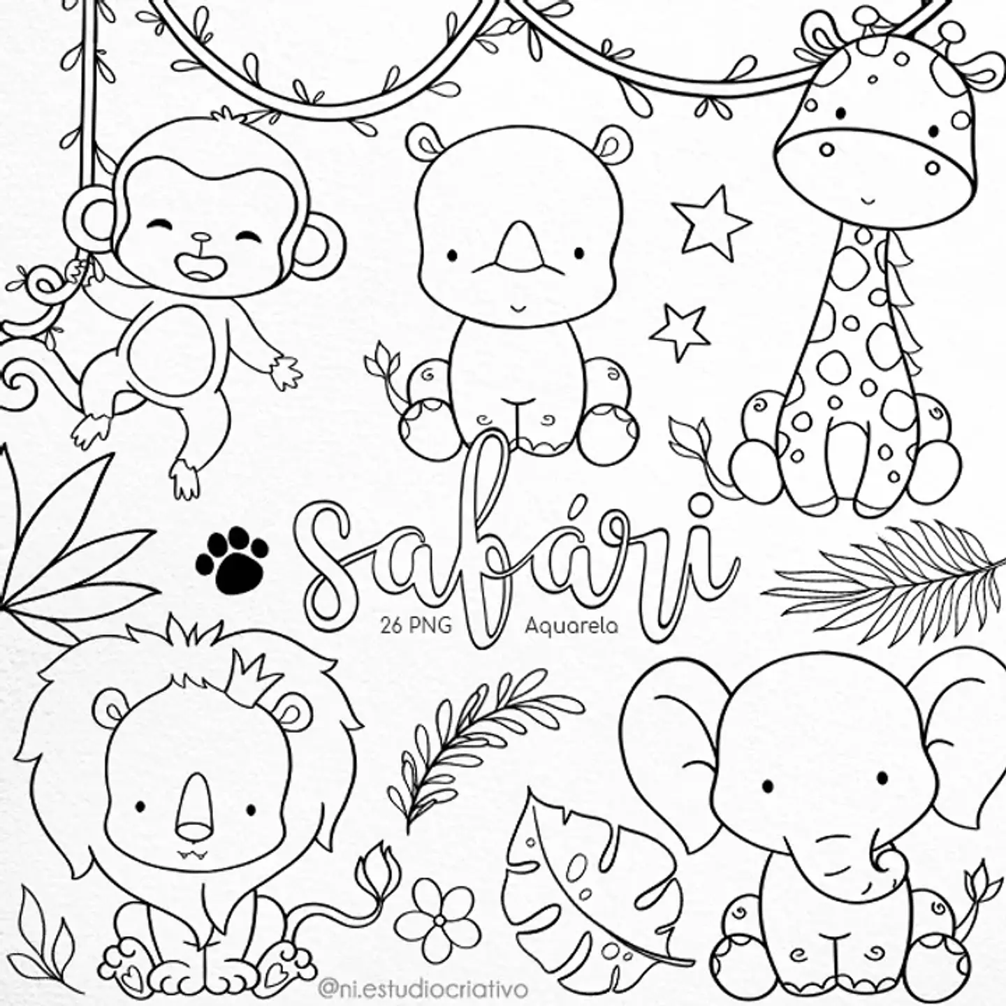 Kit Digital Pb0003 Safari 142 1