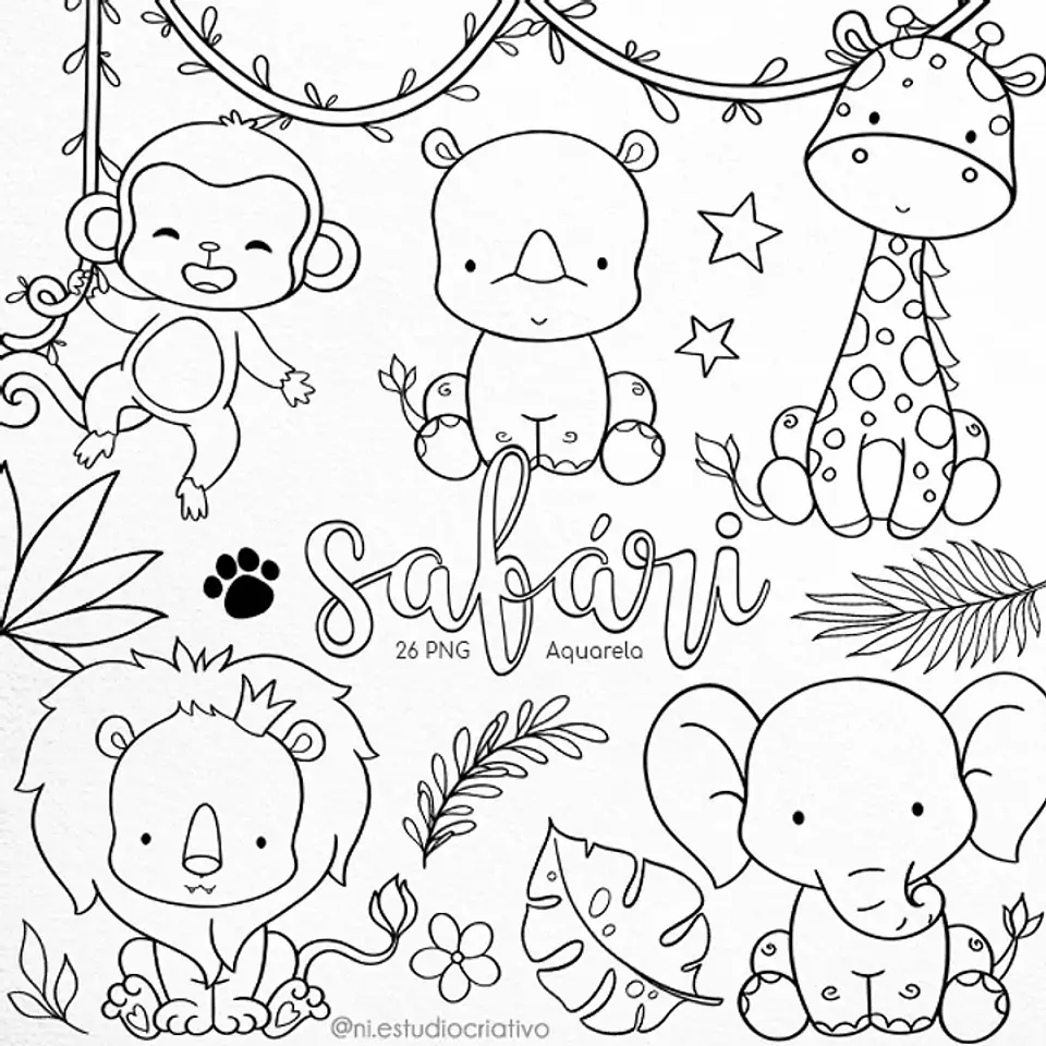 Kit Digital Pb0003 Safari 142 1