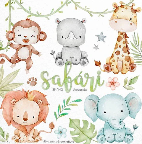 Kit Digital Safari 166