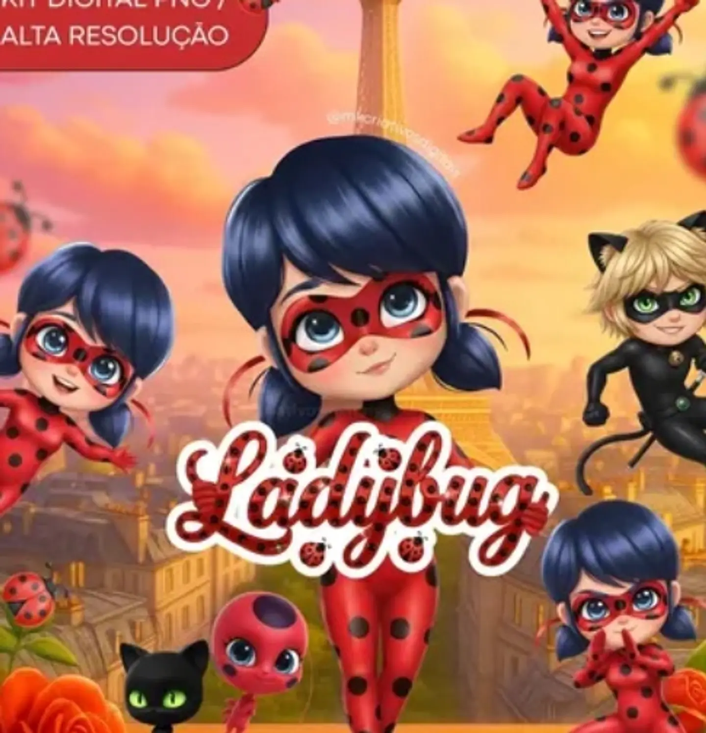 Kit Digital Ladybug 73 1