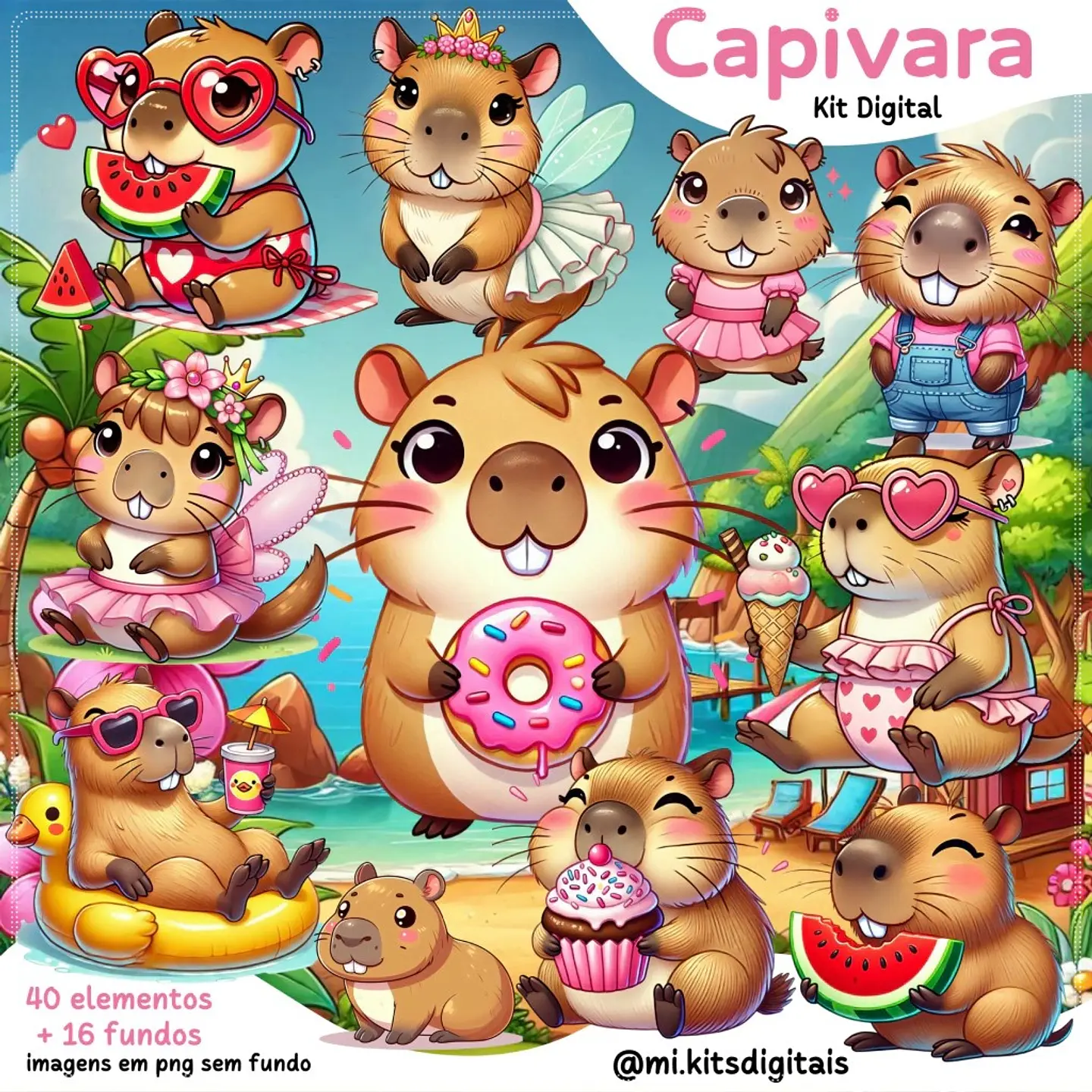 Kit Digital Capivara 11 1