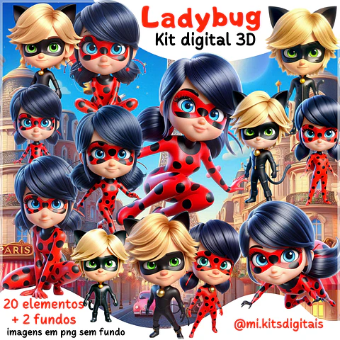 Kit Digital Ladybug 3d 40