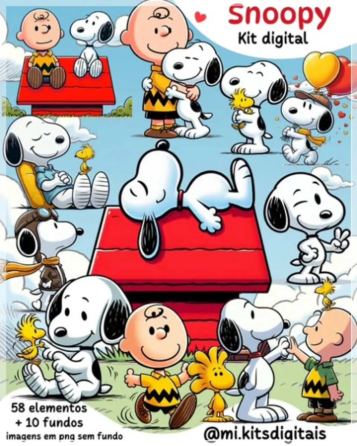 Kit Digital Snoopy 80 1