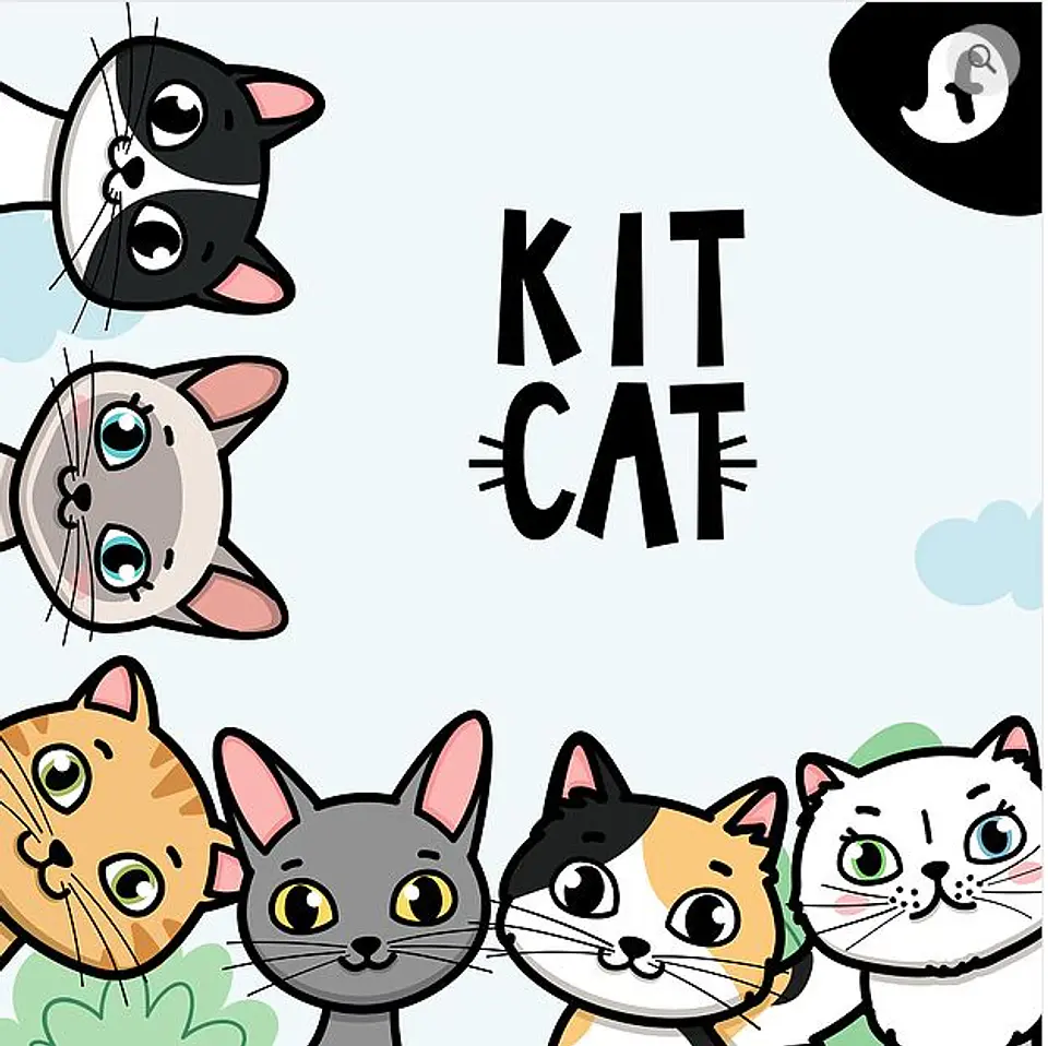 Kit Digital Cat 76 1