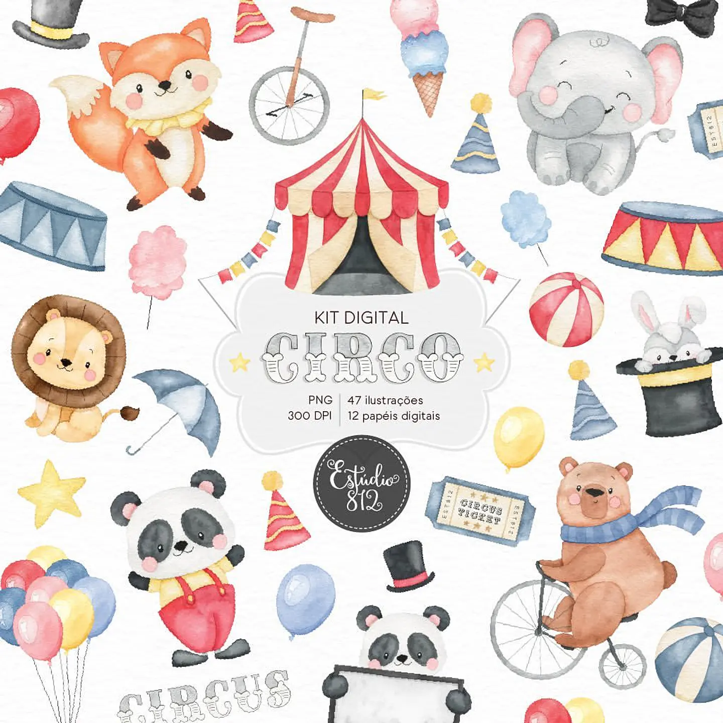 Kit Digital Circo 14 1