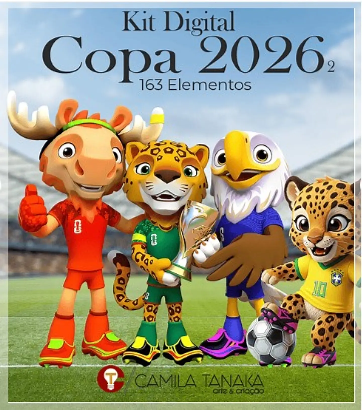 Kit Digital Pack Copa 2 113 1