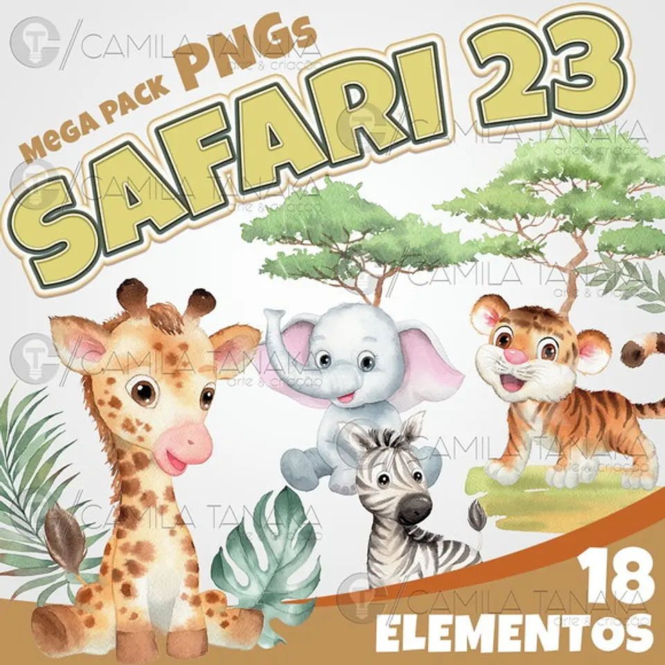 Kit Digital Safari 23 51 1