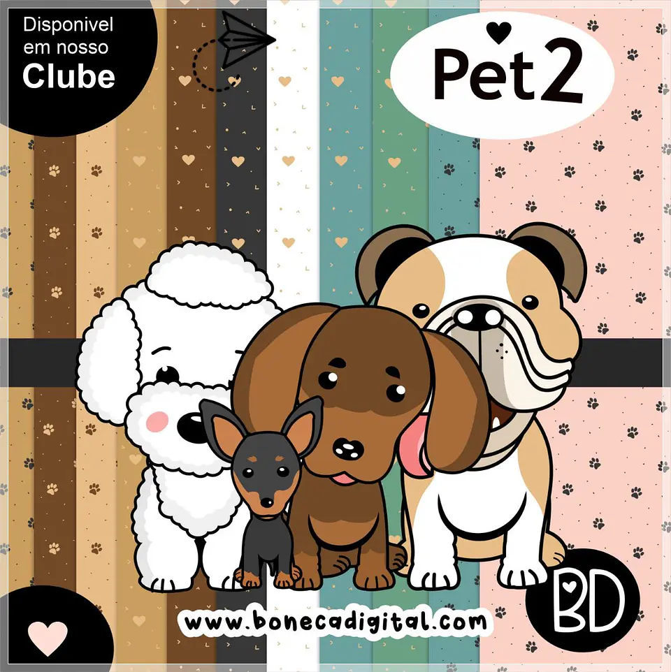 Kit Digital Bd Pet 2 21 1