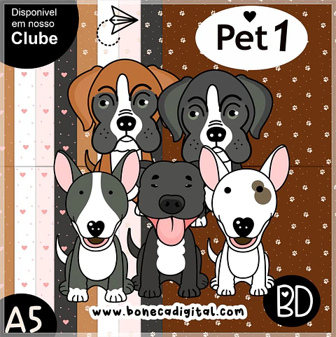 Kit Digital Bd Pet 1 20