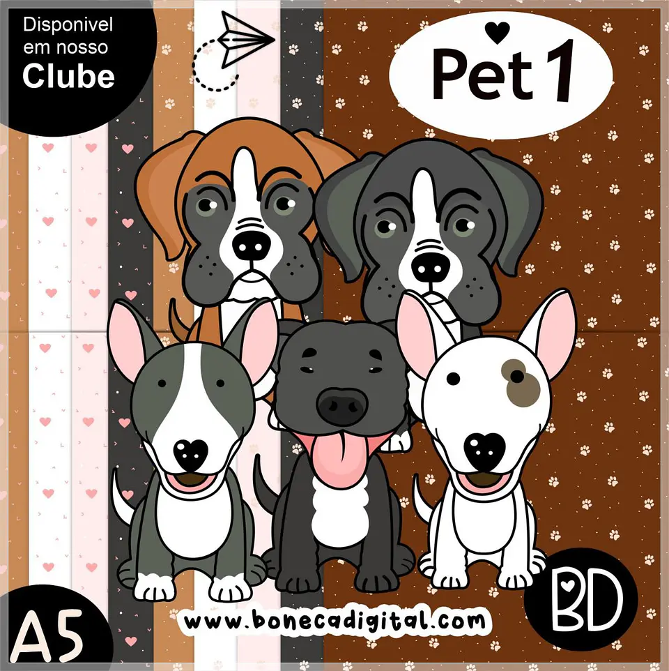 Kit Digital Bd Pet 1 20 1