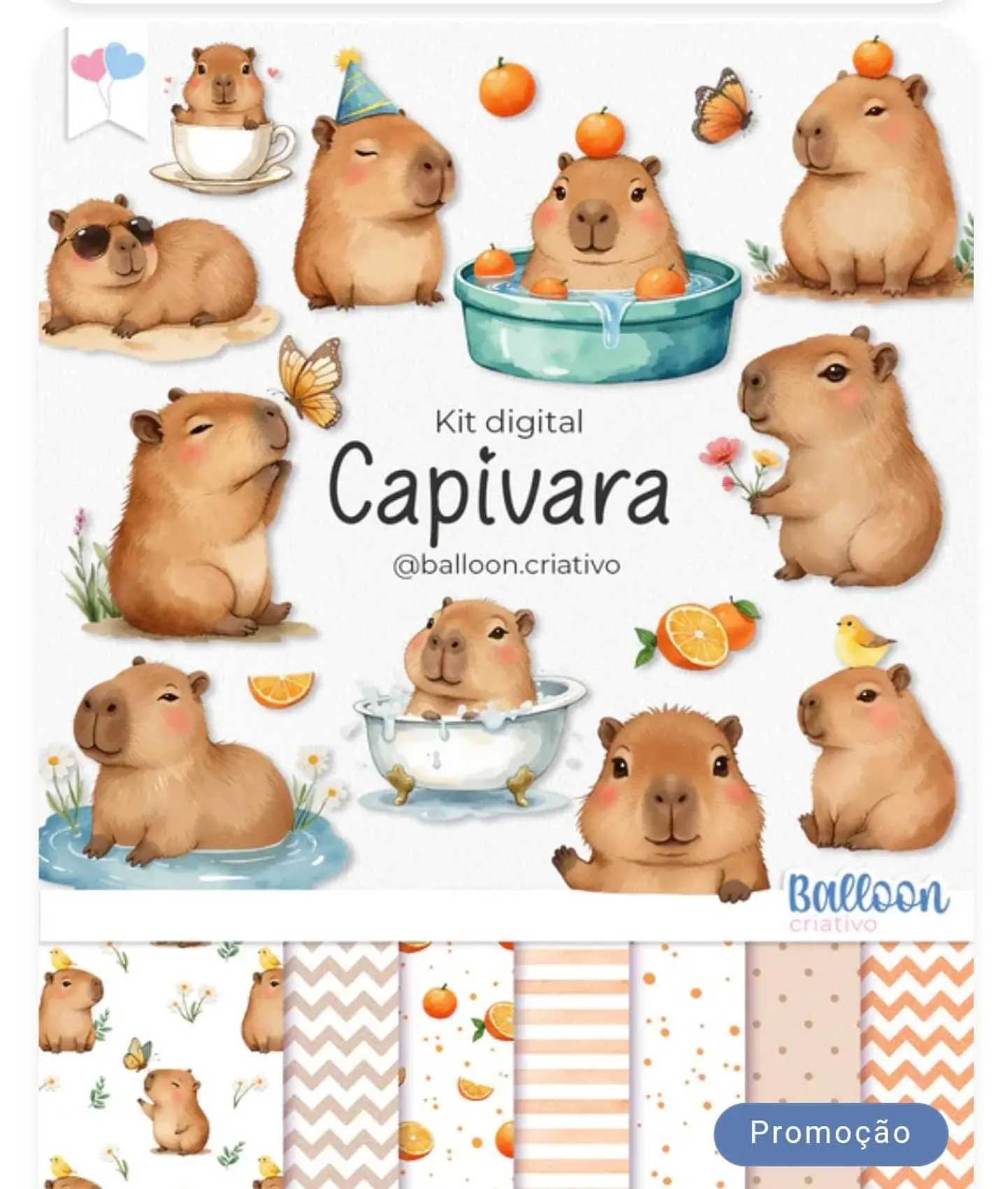 Kit Digital Capivara 2 1