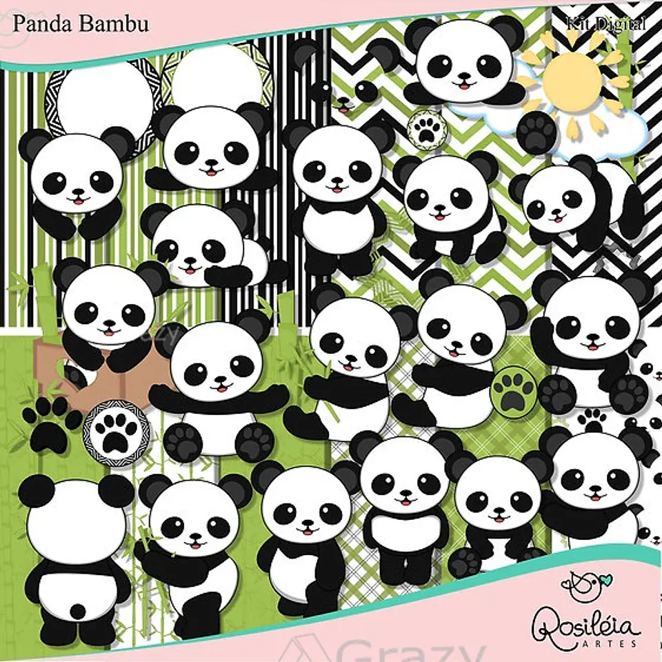 Kit Digital Ra Panda Bambu 68 1