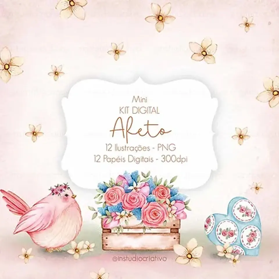 Kit Digital Afeto 5 1