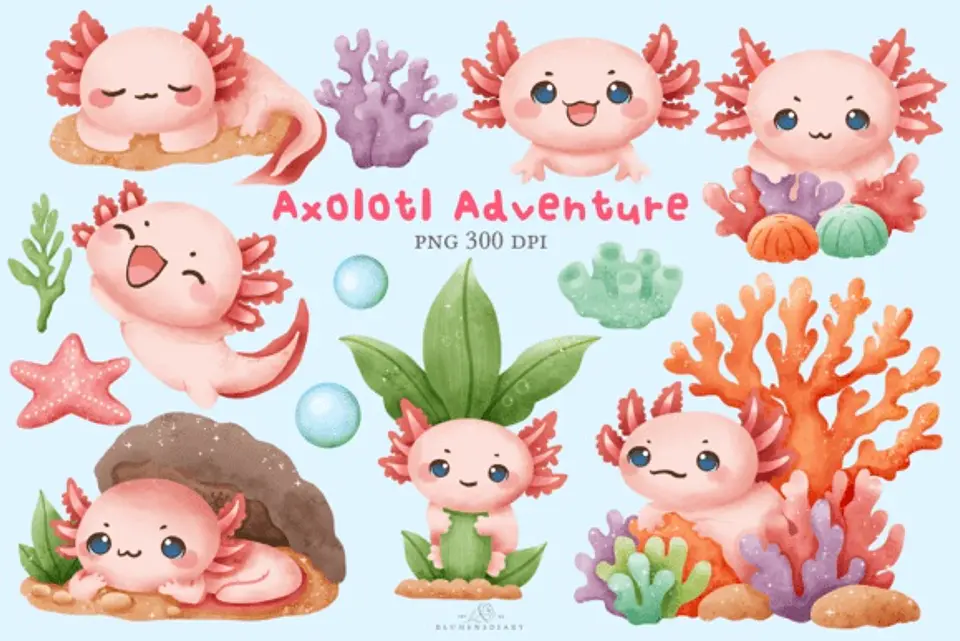 Kit Digital Avventura de Axolotl 1 1