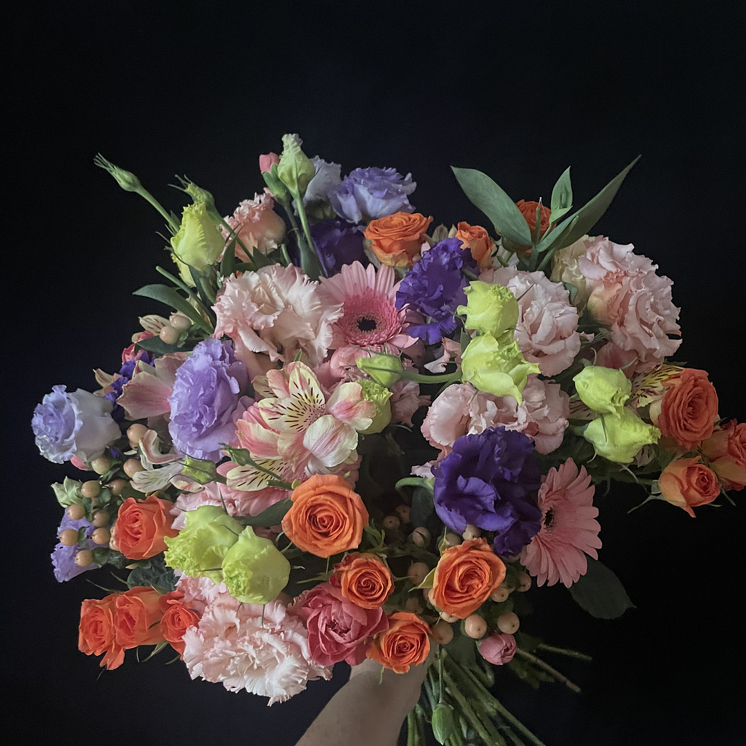 Ramo Premium Emilia 1