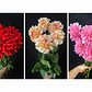 Ramo de Dalias - Miniatura 6