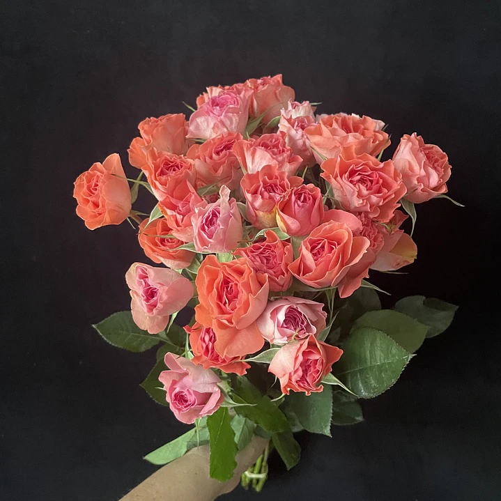 Ramo de mini rosas 1