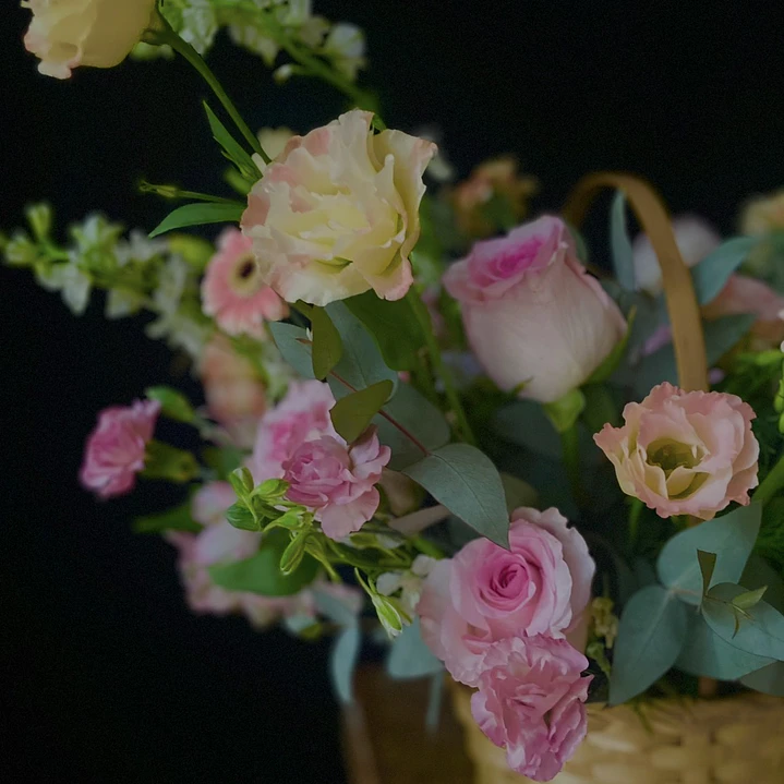 Canasto Ofelia / Paleta rosados y blanco 2