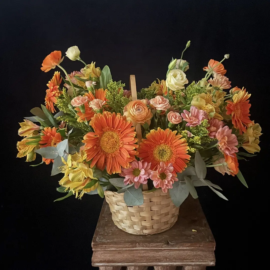 Canasto Miranda / Paleta naranjos y coral 1